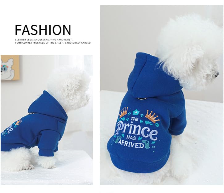Disfraz princesa para perros AZA color azul talla S miniatura 4