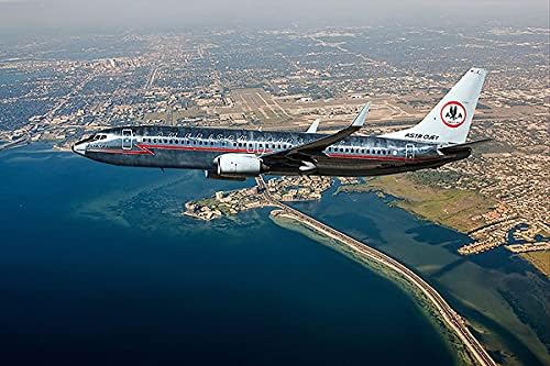 American Airlines Boeing 737 Retro AstroJet 12x18 Photograph Photo Print