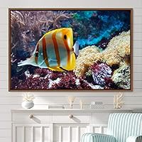 Framed Canvas Wall Art Deep Under Group Jellyfish Marine Life Multicolor Photography Realism Tropical Ultra Whimsical - 16x24 inches