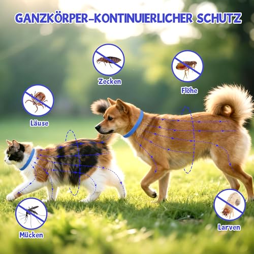 2 Pcs Floh Zeckenhalsband für Katzen & Hunde | Bis zu 16 Monate Langzeitschutz | Natürlicher Floh- und Zeckenschutz | Wasserdichter Verstellbares (Blau, Universal)