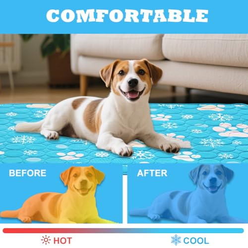 Zinueen Hundematte Kühlmatte für Hunde & Katzen – Selbstkühlendes Hundebett, Kühldecke & rutschfeste Kühlmatte für Zuhause, Auto | Dog Cooling Mat für Schlafplätze & Möbel (100 * 70CM)