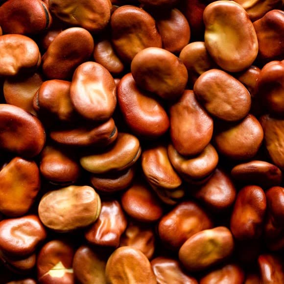 Palm Beach Medicinal Herbs - Soam Pawi Menagers Dam Tepary Bean - Packet of 20 Seeds