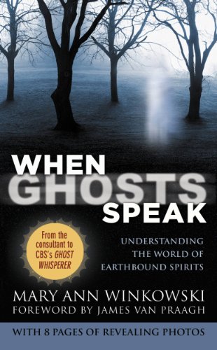 earthbound merchandise - When Ghosts Speak: Understanding the World of Earthbound Spirits