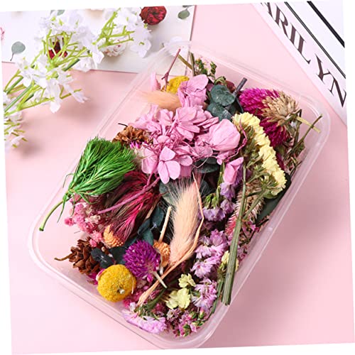 Materiales de Flores Secas para Manualidades DIY miniatura 5