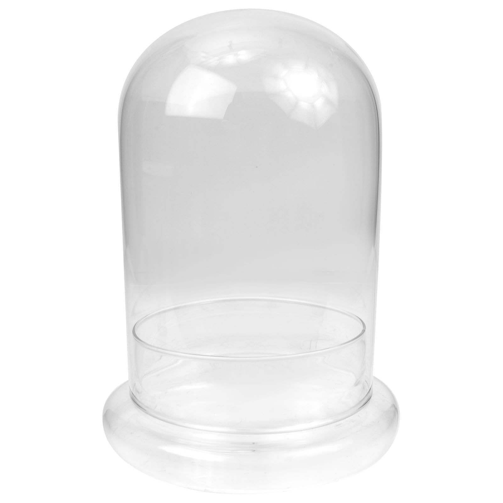 Cloche en verre pour fleurs éternelles avec socle cloche transparente d'exposition