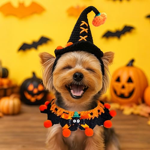 Disfraz de Halloween para perros pequeños Petcare miniatura 5