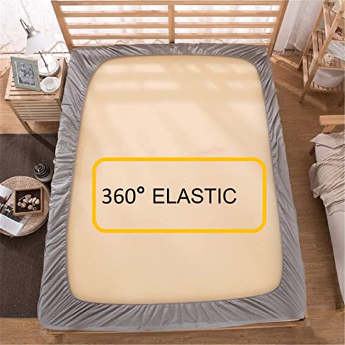 Image of Filymore Elastic Fitted Bedsheet Set for Double Bed with 2 Pillow Covers | 240 TC Pure Microfiber Double Bedsheet | Black Leaf Design | Soft | Fits Mattress up to 6 Inches | 72x72 Inches