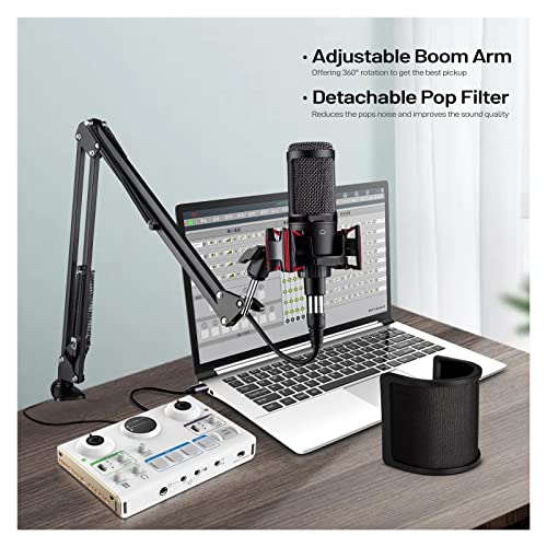 Microphone de studio XLR cardioïde filaire avec stand de table stable - 7