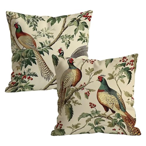 �N�b�V�����J�o�[ ���� �� �N�b�V�����J�o�[ 50x50cm 2���Z�b�g ���O�h�� �x���x�b�g ���z�c���΁[ �R���V�[���t�@�X�i�[�d�l ���_���X�^�C�� �����I�� ���P�[�X �K�[�f���\�t�@��������� �\�t�@�[ �ԗp �C���e���A ���� ����p ���蕨 t9n-