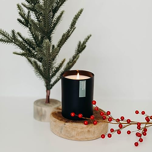 Calyan-Wax-Soy-Wax-Candle-Evergreen-Eucalyptus-Scented-Candle-for-The-Home-Premium-Candle-with-Essential-Oils-102-oz-50-Hour-Burn-Time-Soy-Candle-in-Matte-Black-Jar-Gift-for-Men