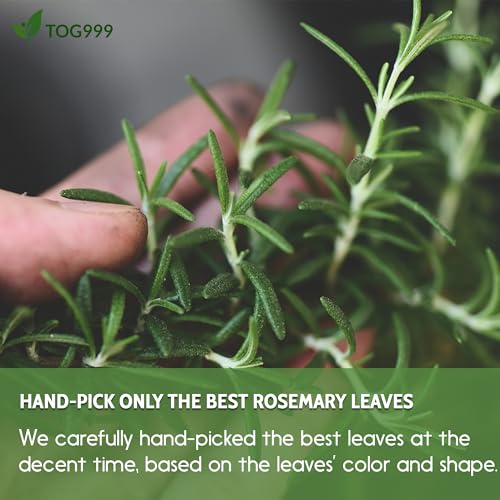 Image of Premium Tea, Improve Digestion, Support Brain, Weight, Skin and Sleep, Eco-Conscious Tea Bags and Premium Natural Ingredients. No Sugar, No Caffeine, No Gluten, Vegan. (38 Bags, Rosemary)