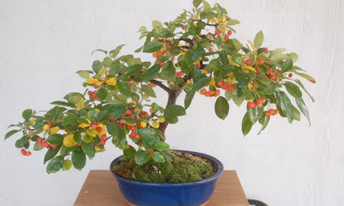stehsammler bambus Natrlich. Strukturiert. Elegant. 4-teiliges Bambus-Schreibtischset   Elysera
