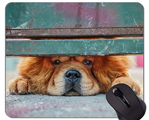 Preisvergleich Produktbild Mousemat-Mausunterlagen, Chow-Chow-Hund
