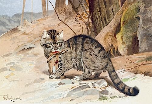 Impression d'affiches Chat sauvage Wilhelm Kuhnert sur toile haut de gamme
