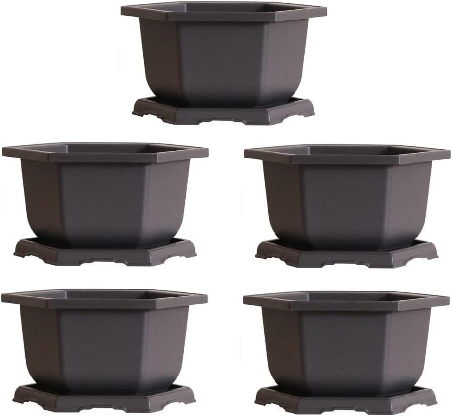 CZ Grain Large Hexagonal Bonsai Pot and Drip Tray - 11 inch Container with Tray (1 Pot)