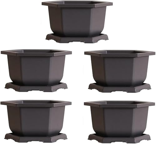 Miniatura 2 de Maceta hexagonal grande para bonsái y bandeja de goteo, contenedor de 11 pulgadas con bandeja (1 olla)