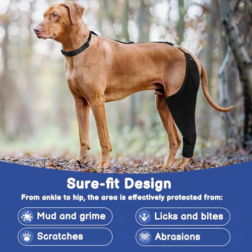 BARKLESS Single Dog Rear Leg Sleeve to Stop Licking, Breathable Male Female Dog Recovery Suit for Post Surgery, Comfortable Back Leg Sleeve for Wound Healing, Protective Cone Collar Alternative by BARKLESS - Used condition - Image 5