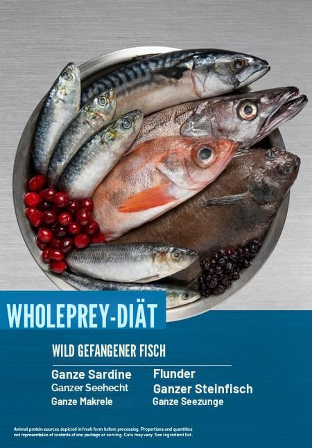 Orijen Cat Six Fish | Doppelpack | 2 x 340 g | Alleinfuttermittel für ausgewachsene Katzen | 85% hochwertige tierische Zutaten | Fisch, Innereien, Knochen | Natürlicher Geschmack