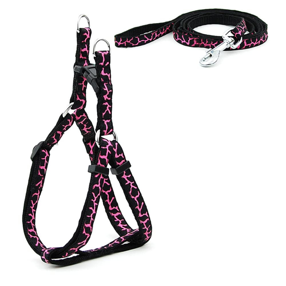 Conjunto de Correa for Perro, arnés Estampado, arnés y Correa for Perro pequeño, for pasear Gatos, 3 m,Bolso para Perros(2,M)