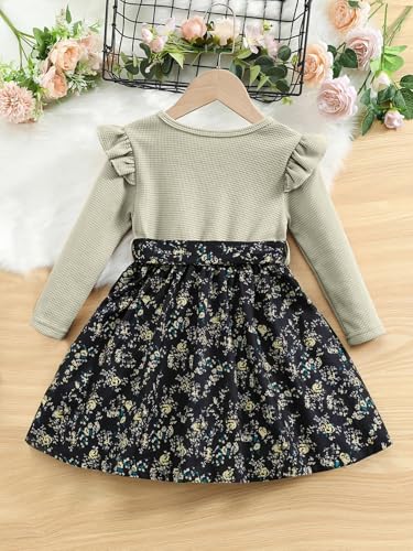 Image of Tior Girls Girls Dress | Dresses for Girl| Kids Frock for Kids|