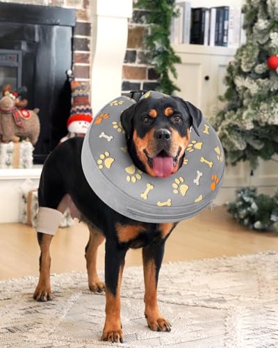 Image of Inflatable Dog Pillow Cone Collar After Surgery, Donut Soft Neck Cone for Pug Dachshund Medium Dogs, etc, Recovery E Collar to Stop Licking Paw
