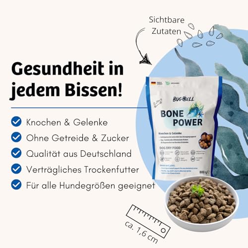 BugBell 800g Hundefutter trocken getreidefrei, zur Knochen & Gelenkunterstützung, bei Arthrose, Patellaluxation, mit Grünlippmuschel & Spirulina & Weidenrinde & Teufelskralle