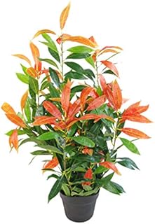 Leaf Artificial Ficus Tree/Plant, Photinia Red Green, 80cm