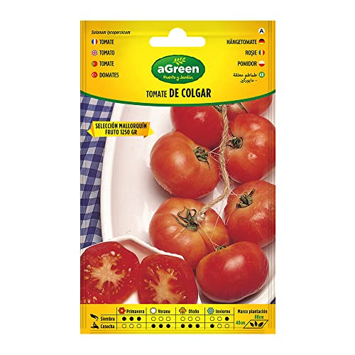 SEMILLAS TOMATE COLGAR SELECCION SOBRE