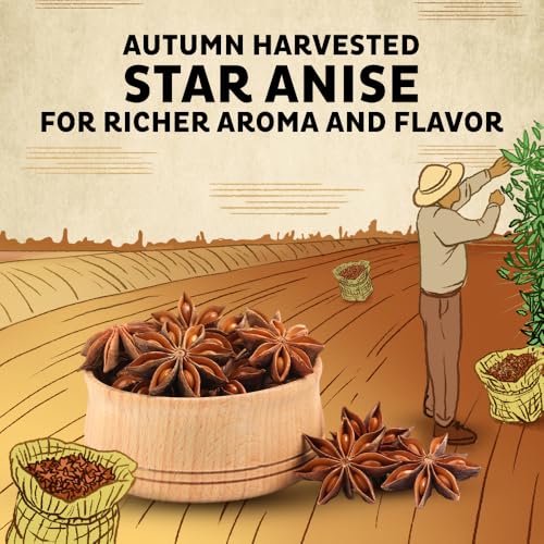 Image of Orika Star Anise (Chakra Phool) Whole Spice | 100% Natural, Aromatic Spice for Indian Cooking & Masala Chai - 25g Pouch (1)
