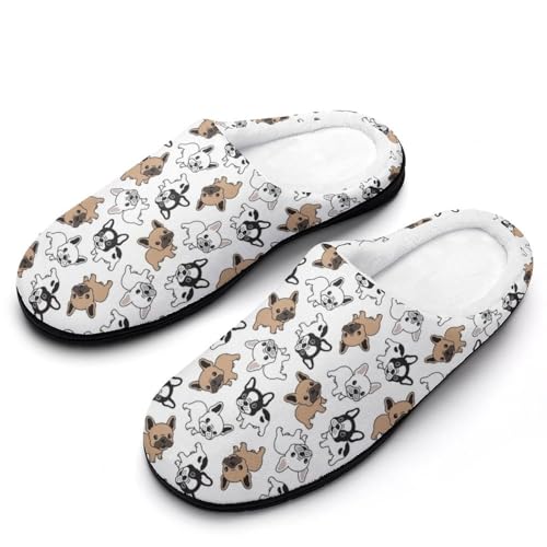 [ZKCASA] Xbp 킢 {XgeA  [V[Y   qp h  g 􂦂 ~ jp I[V[Yp 9-10i40-41j