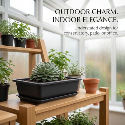 Pots pour bonsaï et succulentes parfaits pour verdir un balcon urbain - 7