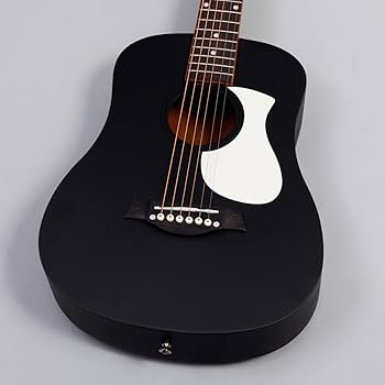 ともさん専用　他の方購入不可アコースティックミニギター 音音 音音 DT1M NTM アコースティックギター初心者12点セット ミニ