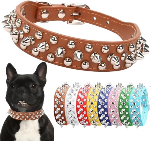 ^pXpCN hbO  }bV[ xbg X^bh A`oCg ی ybg lbN PU U[XpCN q XS p S M L j̎q  j L M (uEAL)