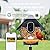 Birdkiss Smart Bird Feeder with Camera, Birds Watching Camera, Auto Capture Birds Videos & Motion Detection, AI Identify Species, Wireless Bird Feeders for Outdoors, Ideal Present for Mom