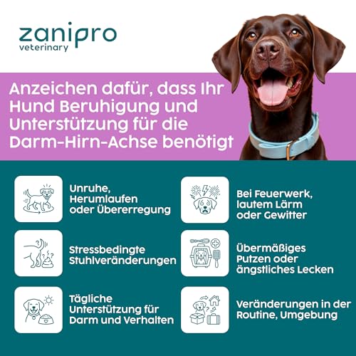 Zanipro Beruhigung für Hunde – Probiotika Hund mit L-Tryptophan, Anti-Stress Hund Pulver bei Angst bei Hunden, Silvester Hund Beruhigung & Autofahrt, entspannende Unterstützung – Rindgeschmack, 100 g
