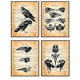 Goth, Gothic Edgar Allan Poe, The Raven Poem Wall Art Decor Set - Rustic Vintage Crow Home...