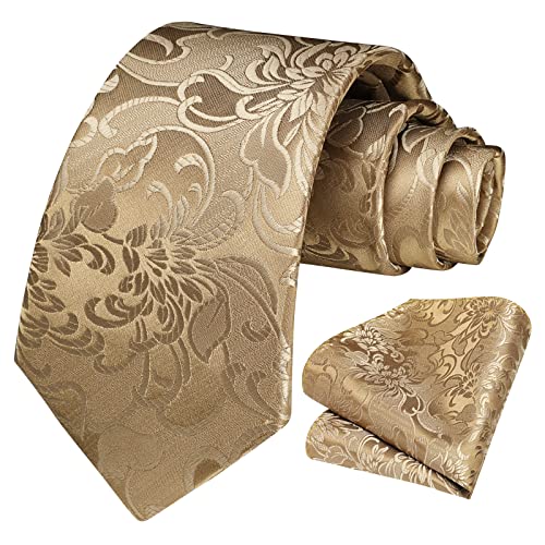 Image of HISDERN Ties for Men Paisley Floral Tie Handkerchief Classic Woven Business Formal Necktie and Pocket Square Set Wedding