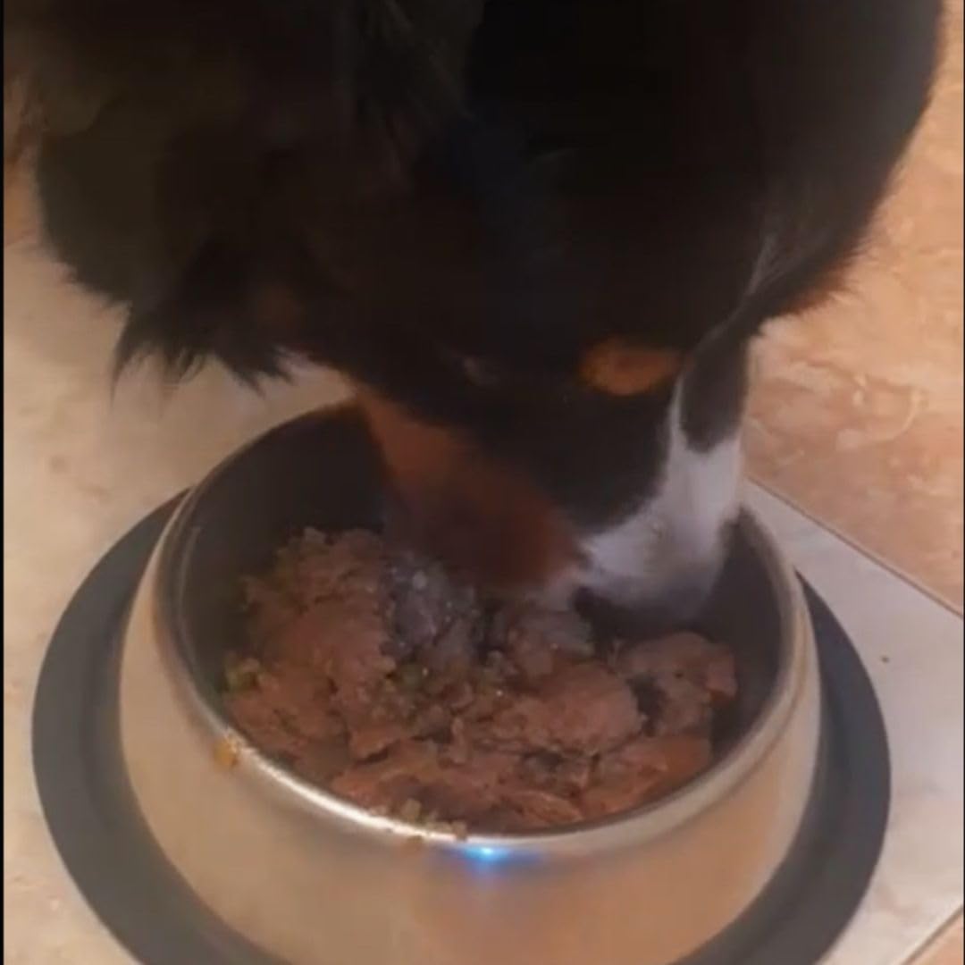 ANIMALUJOS Mix Comida Cocinada Casera para Perros y Cachorros, Sabores Salmón, Pavo, Pollo, Ternera, Caballo y Pato, 6 Unidades x 400g - 100% Natural y Sin Aditivos - Fidelis