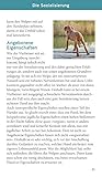 Welpen-Starter-Box: Plus Belohnungsbeutel für sofortigen Spiel- und Trainingsspaß (GU Welpen)