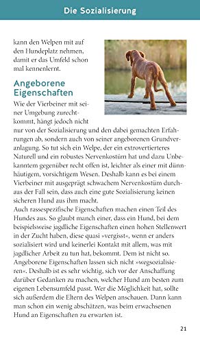 Welpen-Starter-Box: Plus Belohnungsbeutel für sofortigen Spiel- und Trainingsspaß (GU Welpen)
