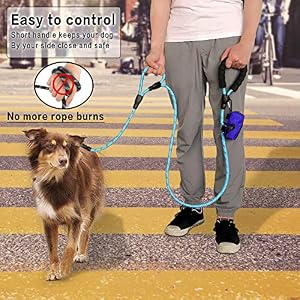 Plutus Pet Rope Dog Leash 6ft long,Traffic Padded Two Handle,Heavy Duty,Reflective Double Handles Lead for Control Safety Training,Leashes for Large Dogs or Medium Dogs,Dual Handles Leads(Light Blue) Plutus Pet Rope Dog Leash 6ft long,Traffic Padded Two Handle,Heavy Duty,Reflective Double Handles Lead for Control Safety Training,Leashes for Large Dogs or Medium Dogs,Dual Handles Leads(Light Blue)