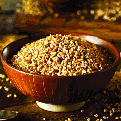 Nutty Yogi Gluten Free Steel Cut Oats, Oats, Healthy, Breakfast, Natural, Coarse Oatmeal 500gm (Pack of 1)