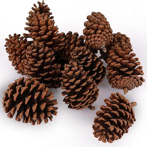 JOHOUSE 3.5-5Inch Natural Pine Cones Crafts, Natural Pinecone...