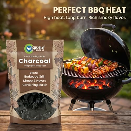 Image of Eco-Friendly Natural Wood Charcoal 1KG | Long Burning Coal & Air Purifier Koyla for BBQ, Grilling, Cooking, Pooja, Dhoop, Havan & Gardening | Activated Charcoal for Indoor Plants