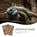 Toddmomy Terrarium Cork Bark: 4Pcs Reptile Tree Bark 20X15cm Hideout Climbing Platform for Snakes Lizards Terrarium Aquarium Decoration Tank Accessories‌
