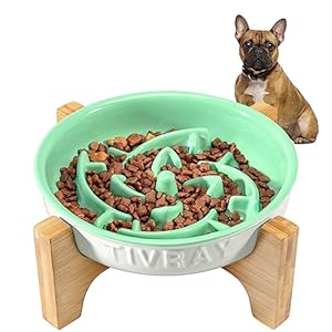 Slow Feeder Dog Bowls Ceramic, 1.5 Cups Dog Slow Feeder Bowl, Anti-gulping Prevent Choking Dog Food Bowls Slow Feeder for Fast Eaters, Raised Dog Bowl with Wooden Stand, Green