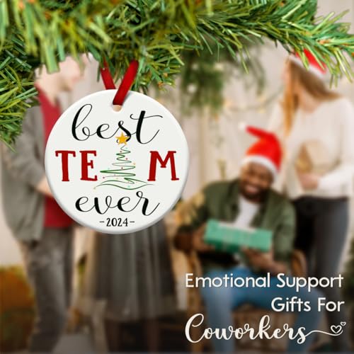 Work-Team-Gift-2024-Christmas-Ceramic-Ornaments-Thank-You-Keepsake-Emotional-Support-Gift-for-Coworkers-Work-Bestie-Friends-Best-Team-Ever-Decor-Xmas-Tree-for-Office Work Team Gift 2024 Christmas Ceramic Ornaments Thank You Keepsake Emotional Support Gift for Coworkers Work Bestie Friends Best Team Ever Decor Xmas Tree for Office