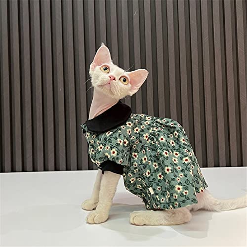 Robe pour chat sans poils Sphinx protégeant la peau sensible des grands félins