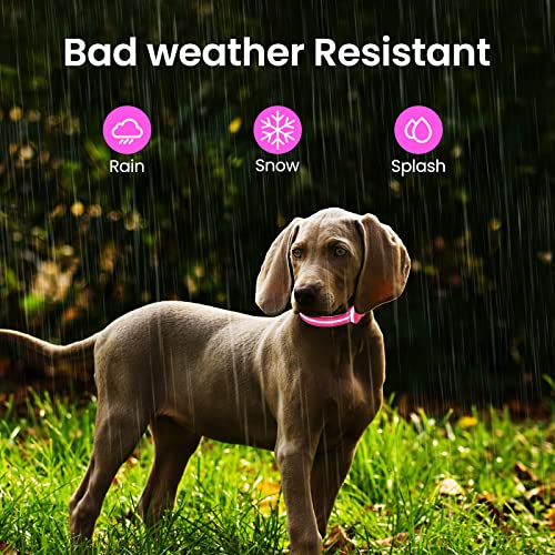 Hundehalsband Leuchtend Aufladbar, Leuchthalsband Hund 7 RGB Farbwechsel mit 8 Leuchtmodi, Verstellbare LED HundeHalsband Wasserdicht für Kleine Mittlere Große Hunde Leuchtendes Halsband, Rosa M