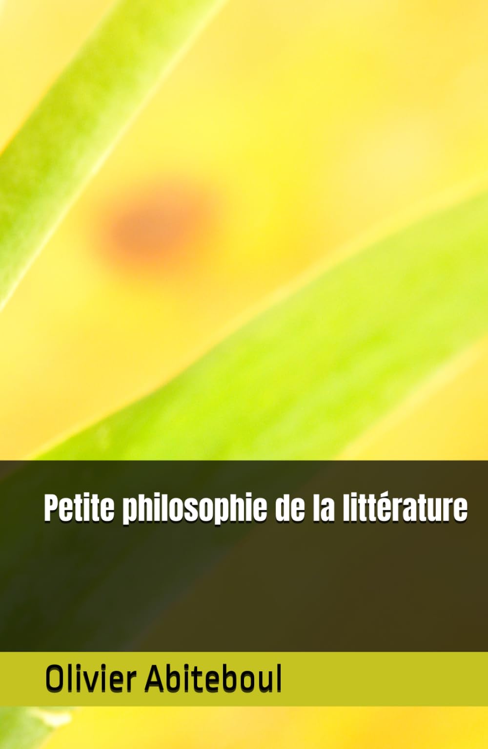 Petite philosophie de la littérature